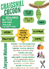 Coccon Timetable
